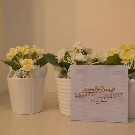 Palazzo Liguori Bed & Breakfast Cava De' Tirreni
